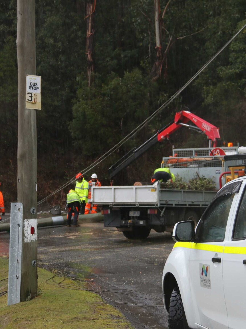 SES workers chainsawing power pole in Fern Tree.