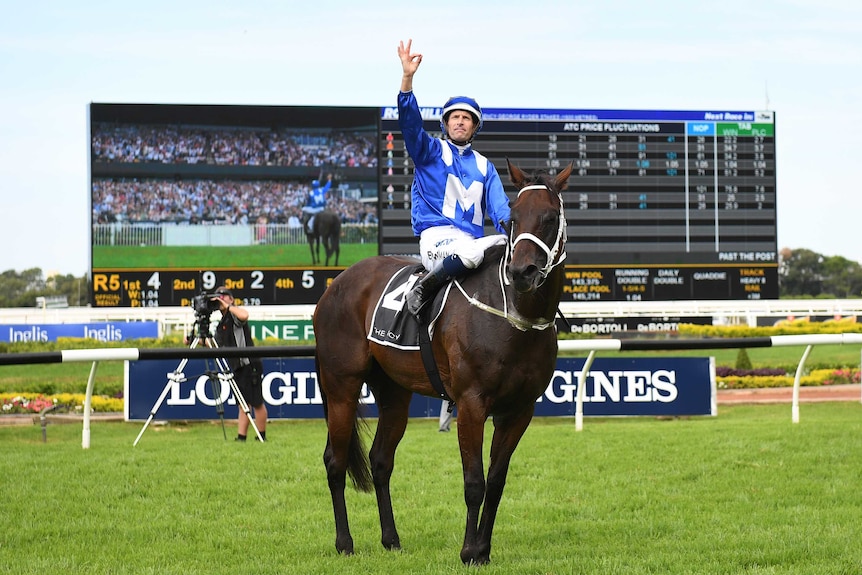 Hugh Bowman raises his arm in celebration atop Winx after winning the George Ryder Stakes