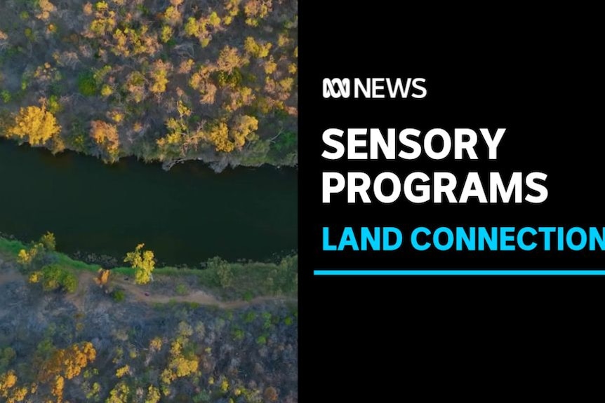 Sensory Programs, Land Connection: An aerial view of a river with trees growing along its bank.