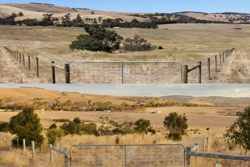 A composite image of a rural property's front gate, with trees and grass, showing more flora in the bottom image