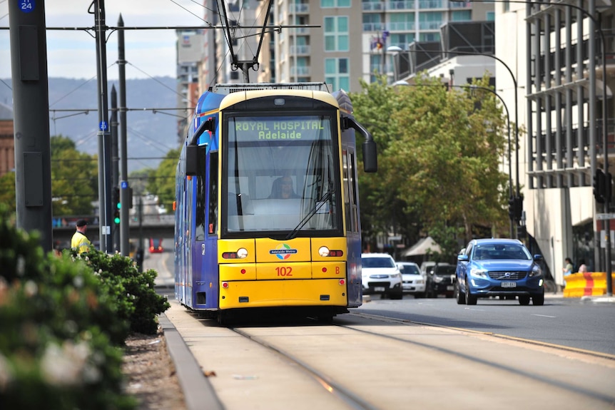A blue and yellow Adelaide Metro tram travelling on tram tracks in Adelaide's CBD
