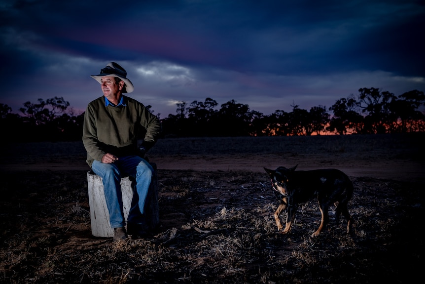 A man with a dog by his side at sunrise. 