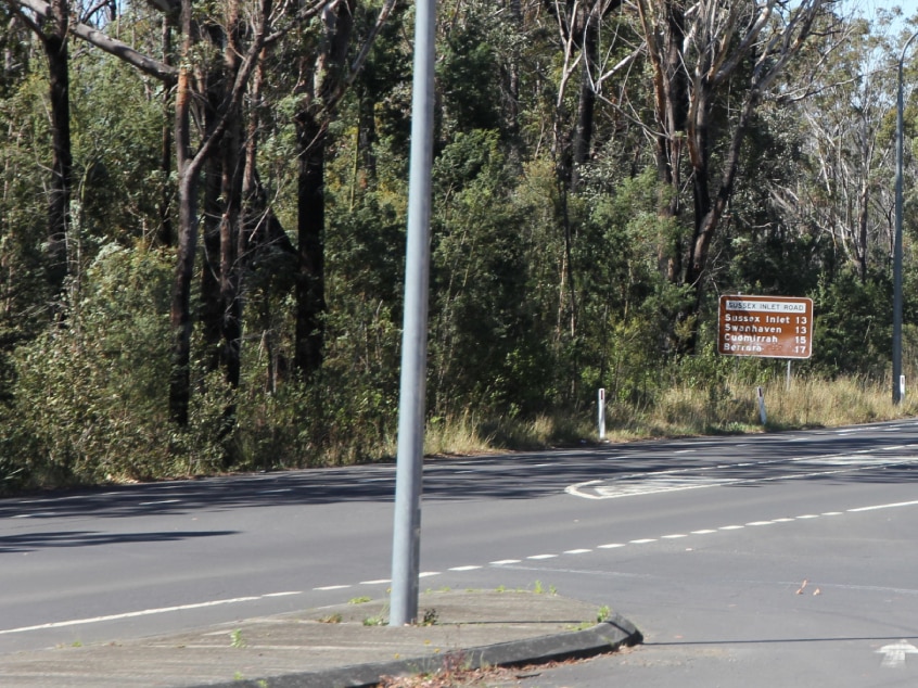 The road remains flanked by thick vegetation. (ABC Illawarra: Penny Burfitt)