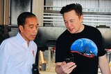 Indonesian President Joko Widodo talks with Elon Musk while looking at a smart phone