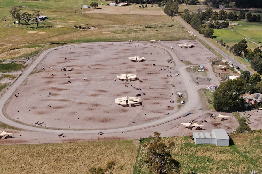 Horses on a dirt paddock seen from the air.
