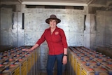 Mary Nenke standing next to the lead batteries which store the solar energy that power cottages for her agritourism business