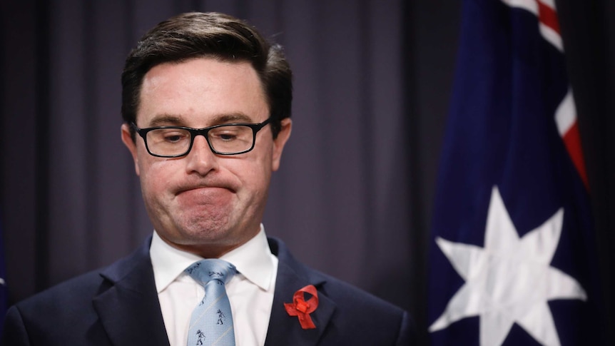 Littleproud looking downwards, lips pressed together, standing in front of Australian flag.