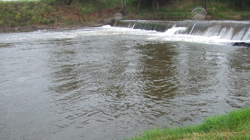 South Dubbo Weir,  September, 2013