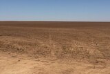 The dry landscape around Hopetoun