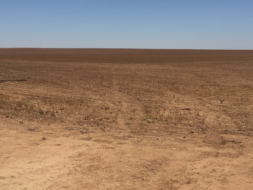 The dry landscape around Hopetoun