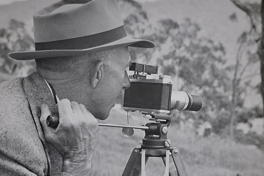 Brisbane filmmaker Len Pass looks into the viewfinder of his movie camera on a tripod in some bushland.