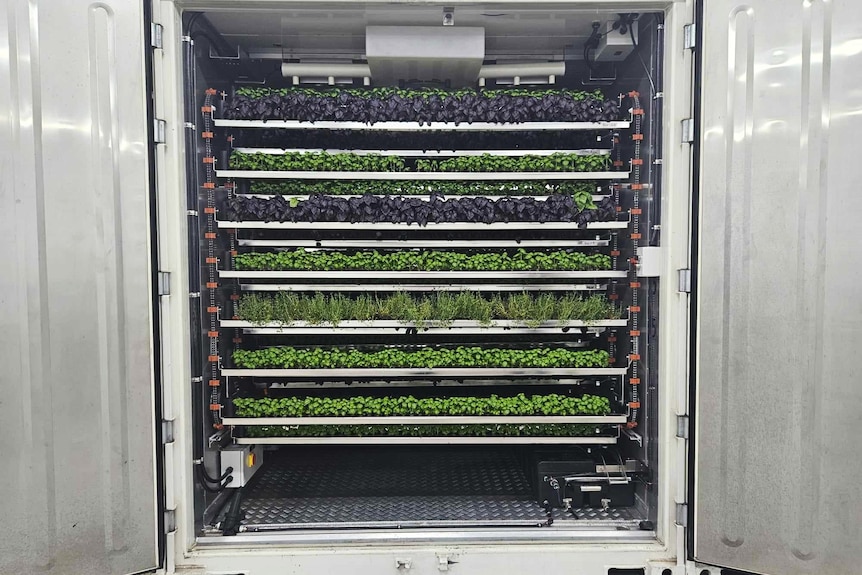Two metal doors swung open showing rows of different plants on horizontal trays.
