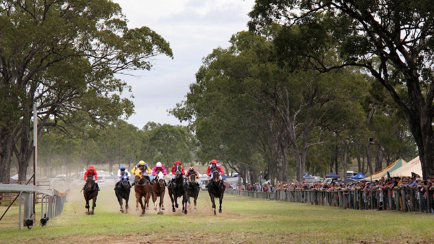 Horses charge towards the finishing line during a race at the Burrandowan Picnic Races.