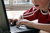 Many parents admit they do not supervise their children on the internet.