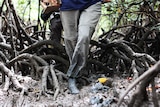 Two people's feet hold a wooden table and trudge through muddy mangroves.