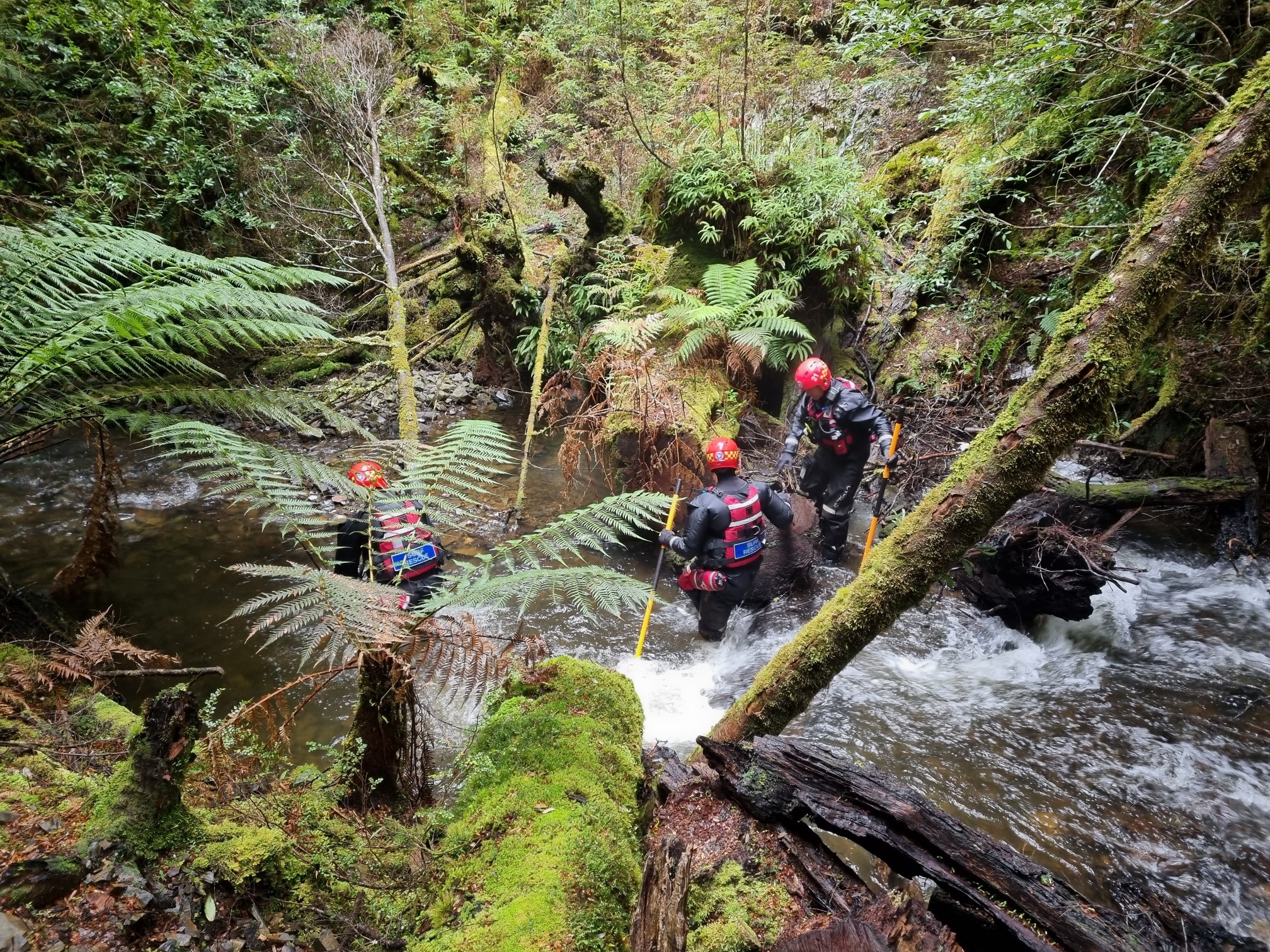 Policiais com capacetes vermelhos e roupas de neoprene caminham por águas em movimento rápido em uma floresta