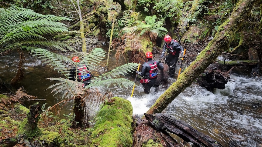 Police officers in red helmets and wet suits walk through fast moving water in a forest