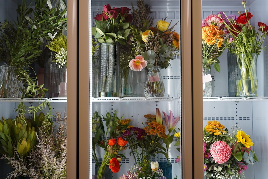 bunches of bright and colourful flowers being stores in a large fridge with glass doors