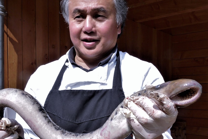 A man is standing holding a long eel-like fish which has its mouth open, showing lots of teeth.