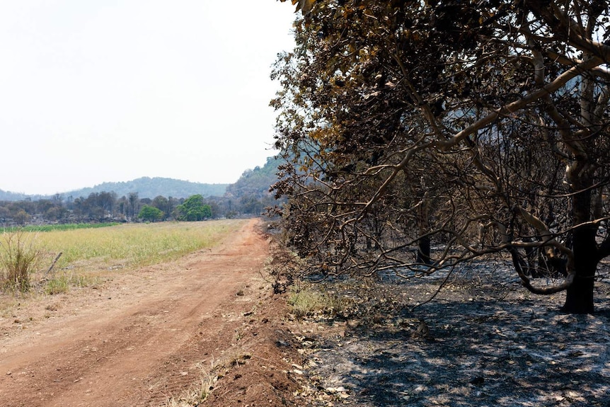 Fire damage on Jeff Pershuose's property.