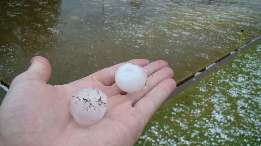 Golf ball-sized hailstones pelted Lismore yesterday afternoon.