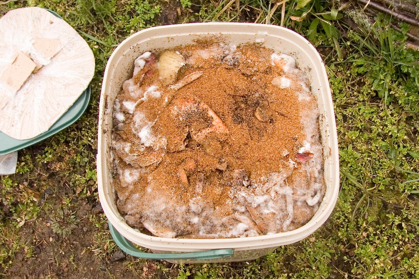 Close-up of a full bokashi bin