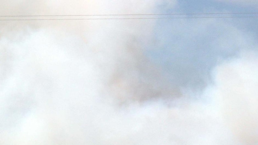 Firefighters attend a pine plantation blaze in Inverloch