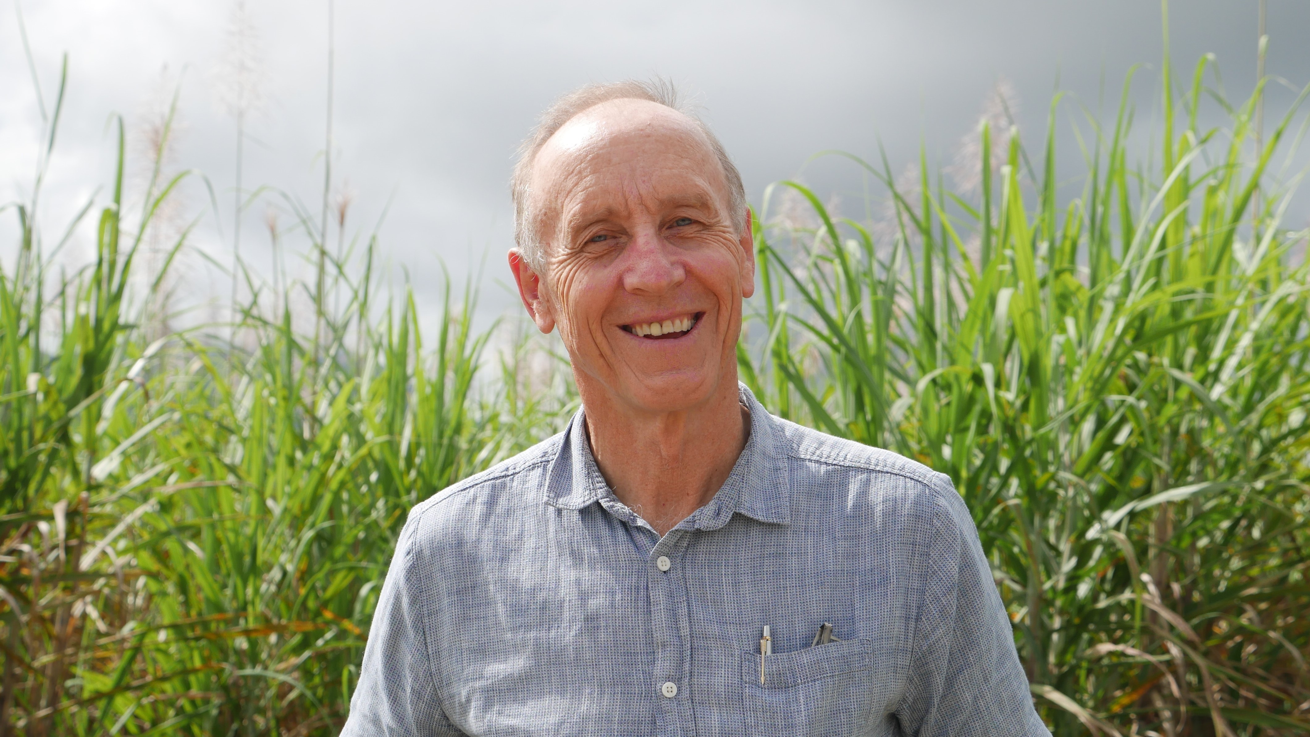 A man in a blue shirt smiles at the camera in front of a sugar cane field