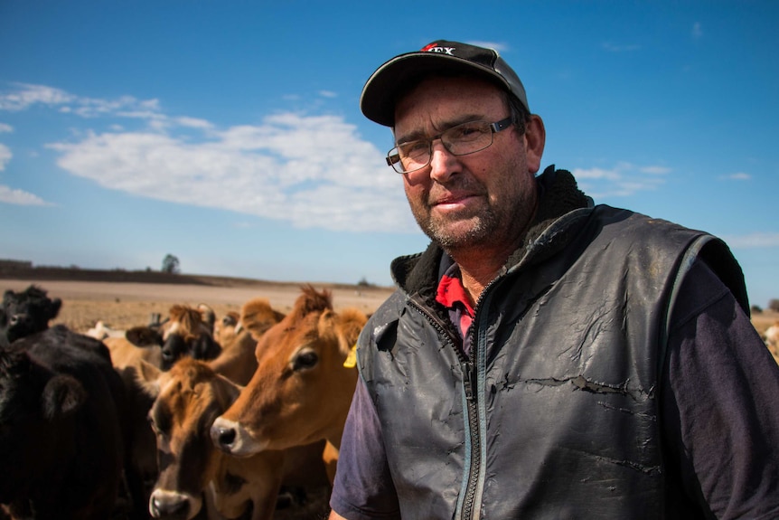 Dairy farmer Brad Porter in a paddock with the cows that survived the fire.