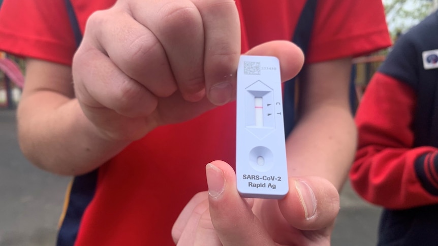 Close-up of hands of boy in red shirt with white testing result.