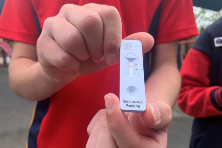 Close-up of hands of boy in red shirt with white testing result.