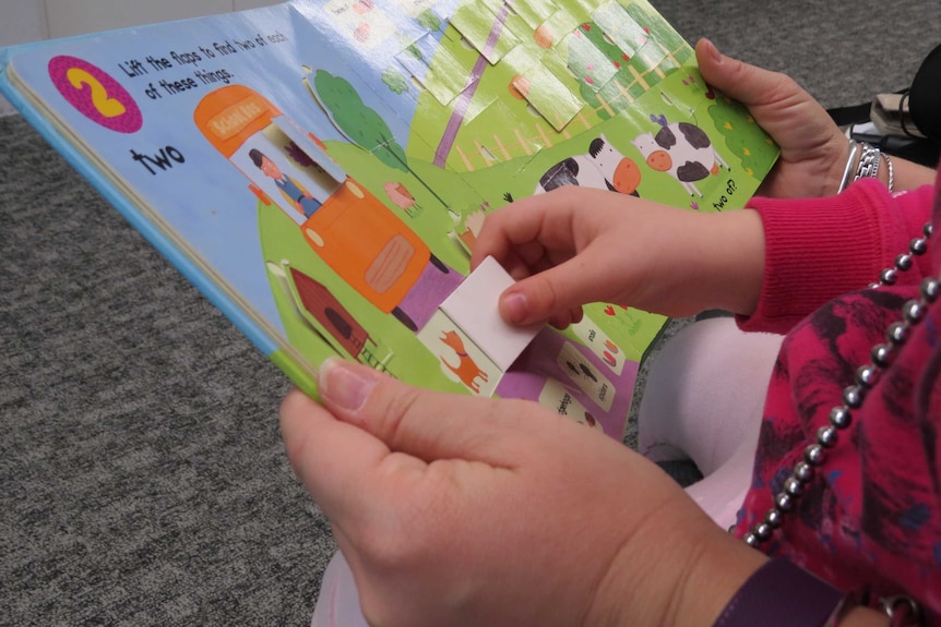 A child lifts the flap on a picture book.