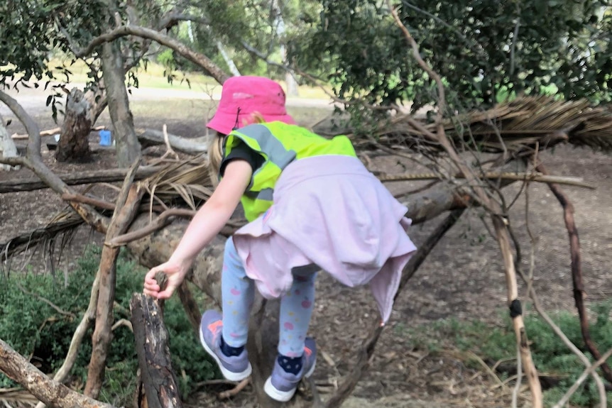 A child in a pink hat climbes over a fallen tree.