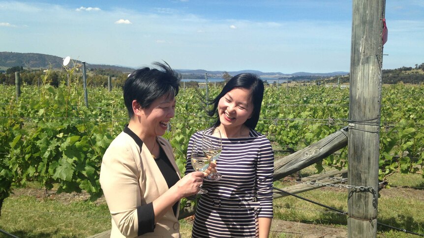 Visitors from China in Tasmanian vineyard.