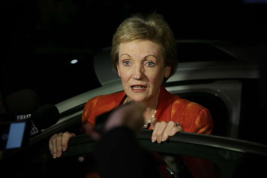 Jane Prentice is leaning over a car door, talking to the media.