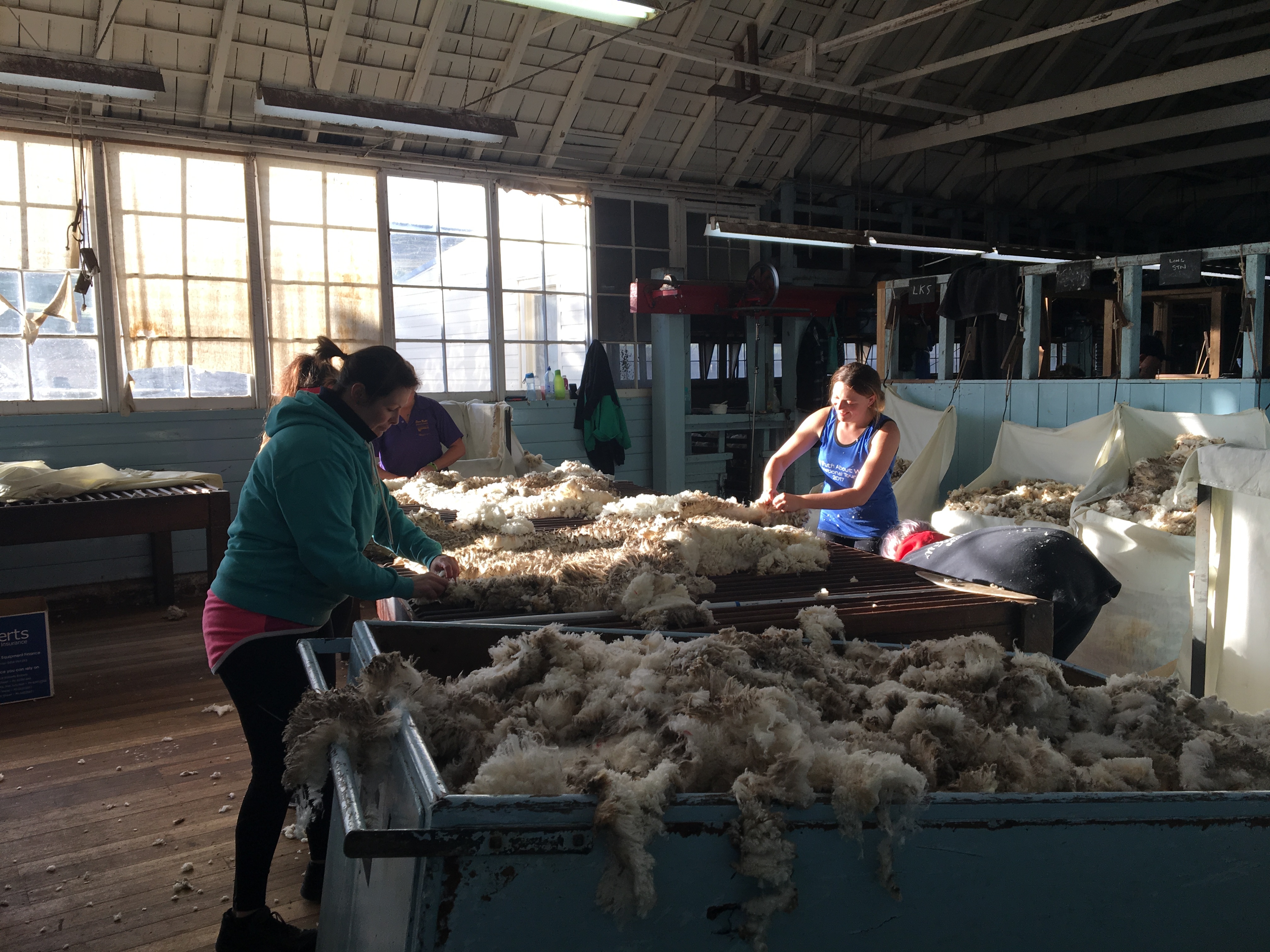 Tasmanian merino farmers take the 'story' of Australian wool to spin