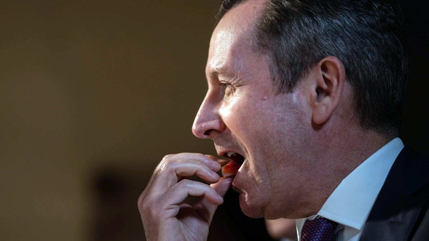 A side shot of Mark McGowan about to bite into a piece of strawberry.
