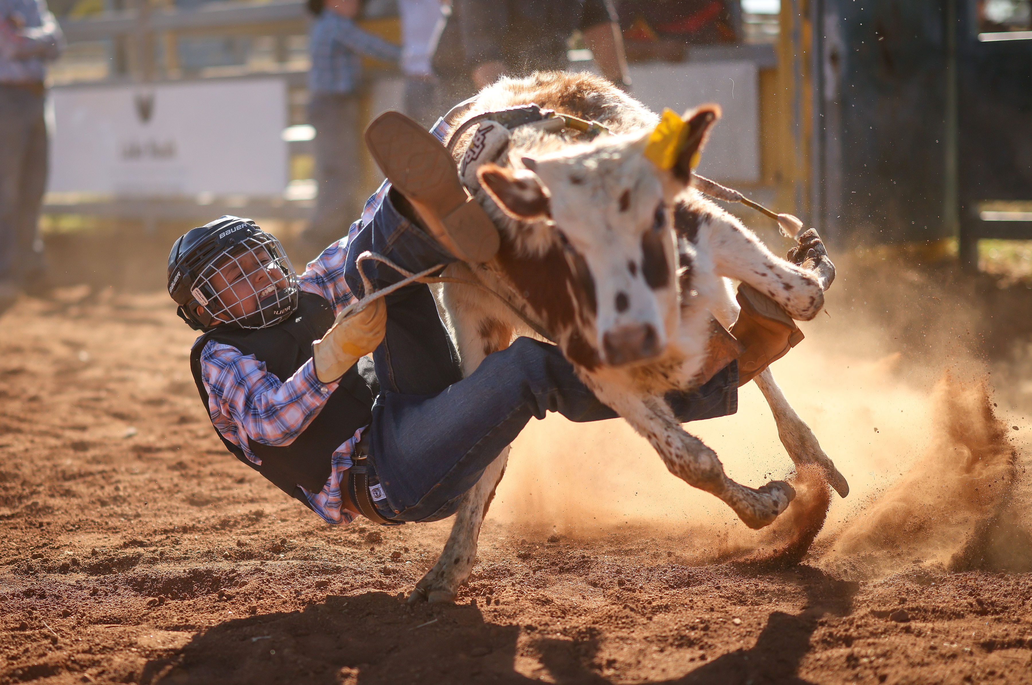A young rider in a helmet and protective vest falls from a bucking calf as dust rises in the arena.