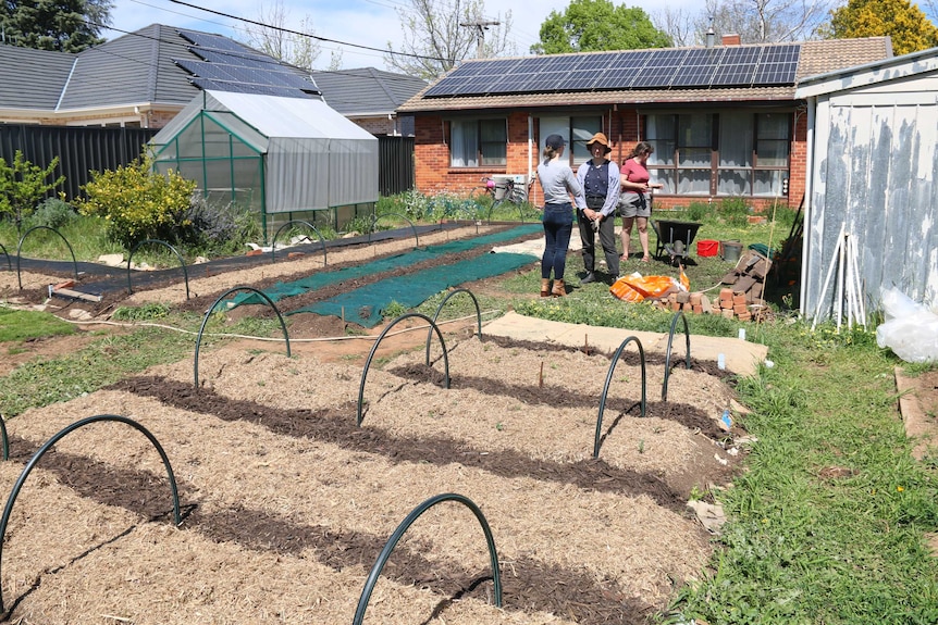 Women gather in a backyard urban farm