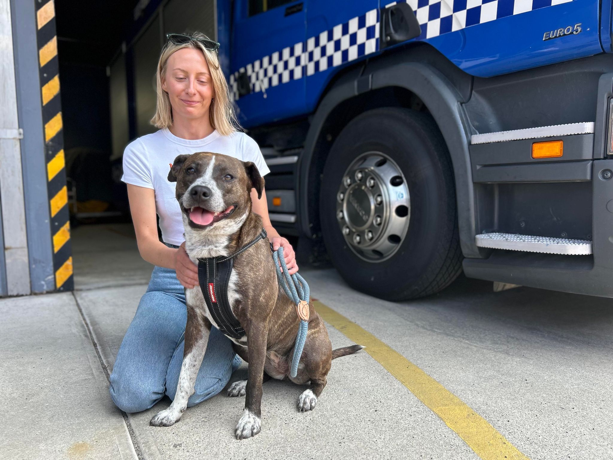 Madi kneeling down next to Minka the staffy cross in front of a police truck. 