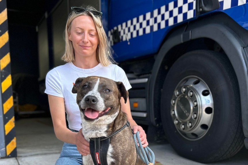 Madi kneeling down next to Minka the staffy cross in front of a police truck. 