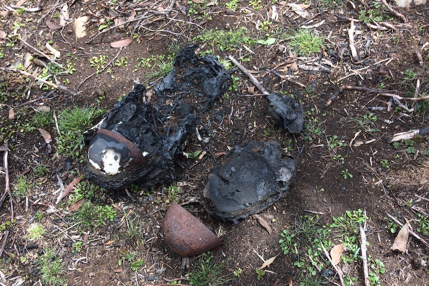 Parts of a pair of steel cap boots left behind after the summer bushfires