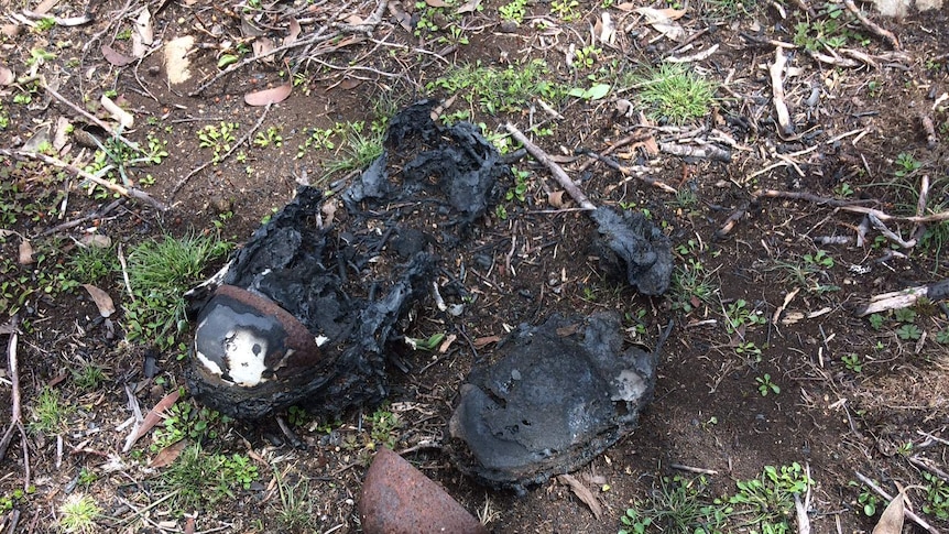 Parts of a pair of steel cap boots left behind after the summer bushfires