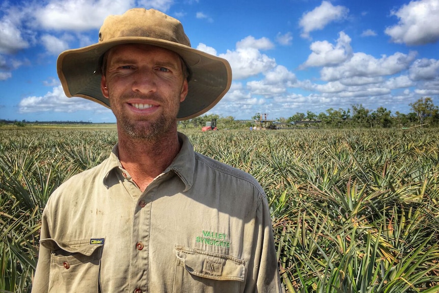 Central Queensland pineapple farmer Ben Clifton at his farm near Yeppoon