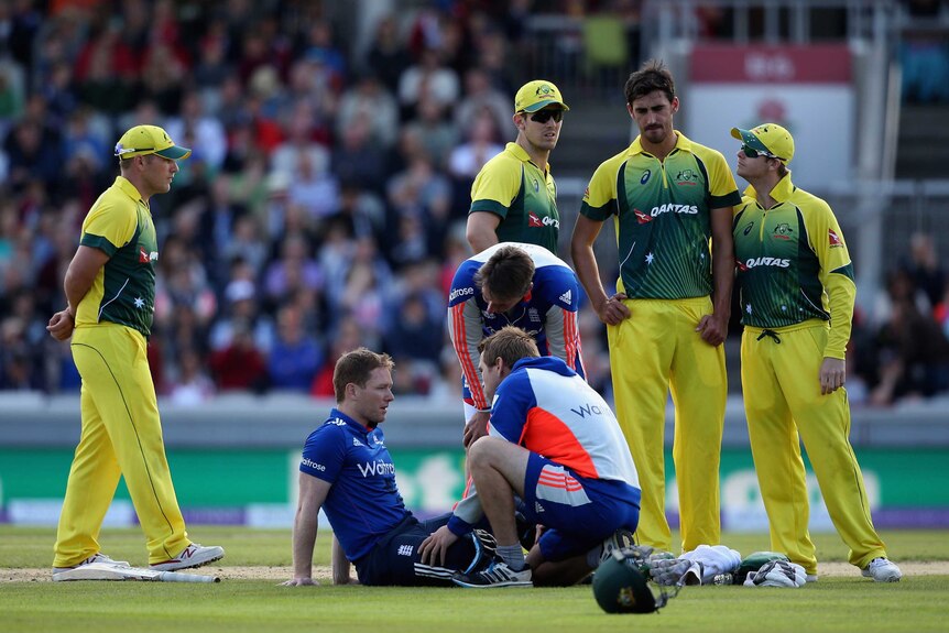 Mitchell Starc looks on as Eoin Morgan is treated for a blow to the head