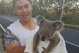Man in t-shirt holds koala wrapped in towel beside road