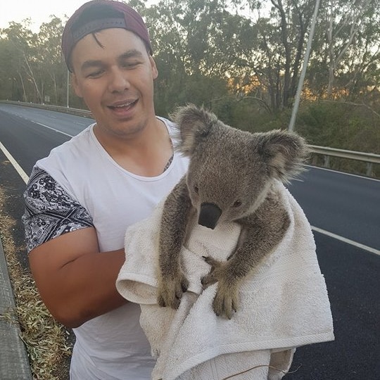 Man in t-shirt holds koala wrapped in towel beside road