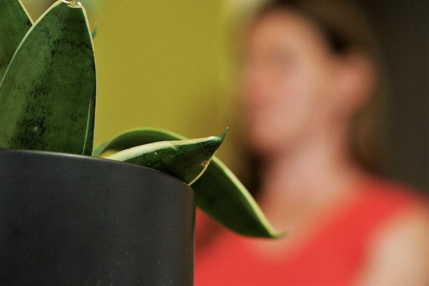 A woman's blurry face to protect her identity