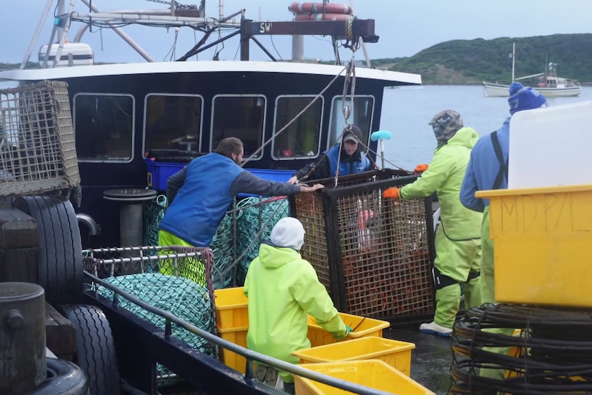 Photo of fishers on a boat.