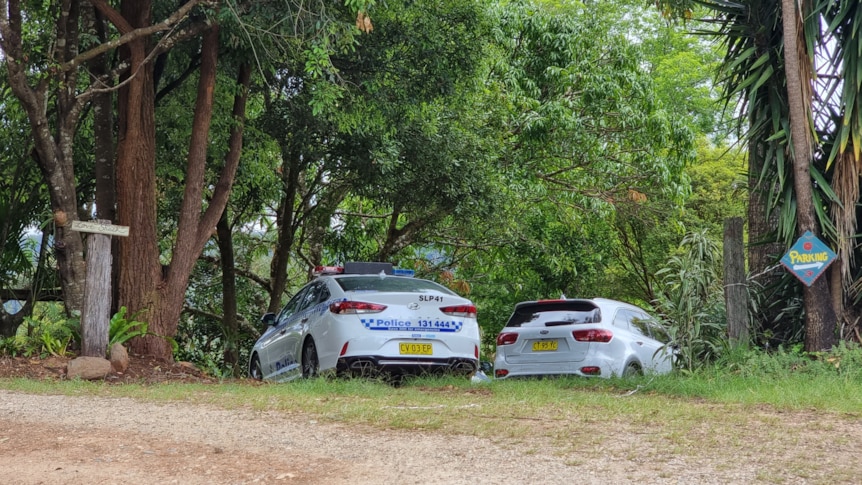 Two police cars parked under trees, near a driveway.